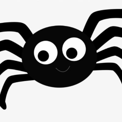 spider.jpg