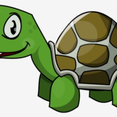 tortoise.png