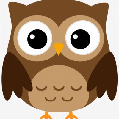 owl.png
