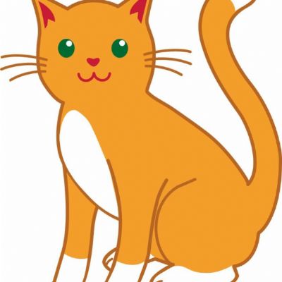 cat.jpg